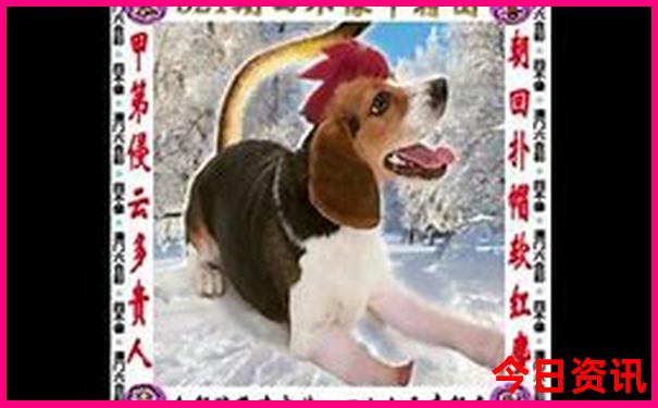 国内乳业排行榜前十名